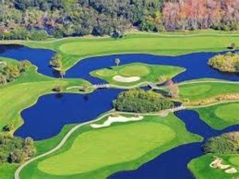 palm harbor golf tournament.